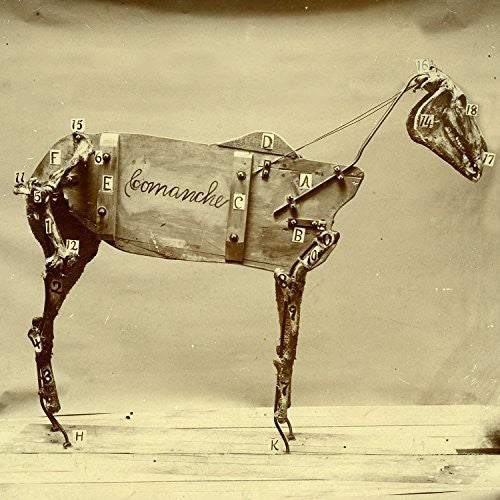 Chadwick Stokes: Horse Comanche