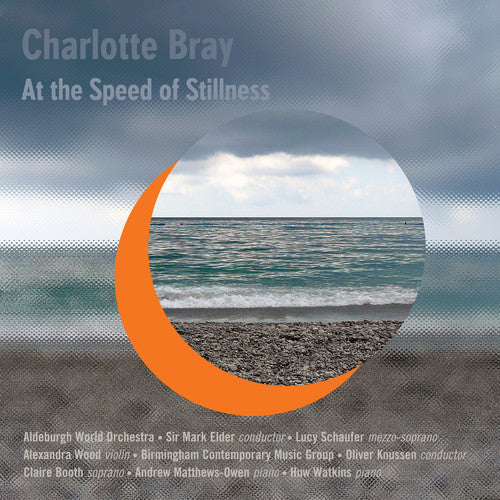 Bray / Elder / Schaufer / Wood: At the Speed of Stillness