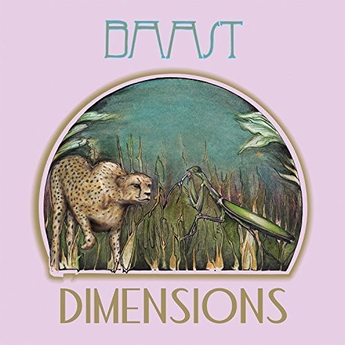 Baast: Dimensions