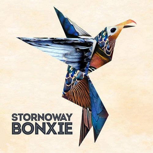 Stornoway: Bonxie