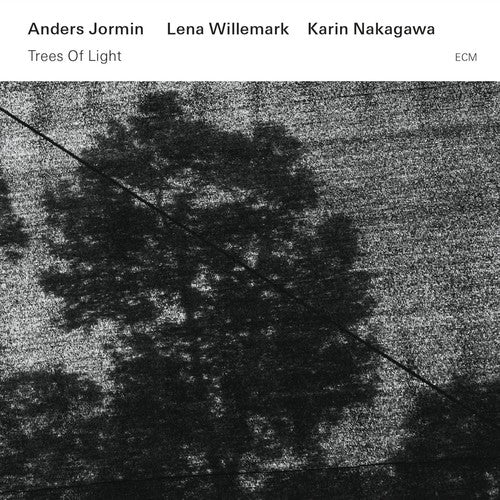 Jormin, Anders: Trees of Light