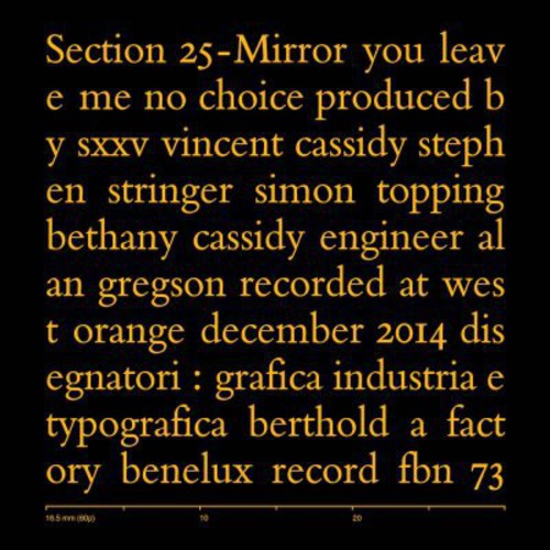 Section 25: Mirror