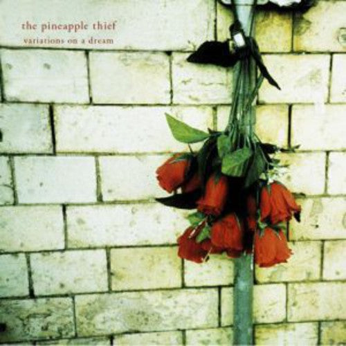 Pineapple Thief: Variations on a Dream