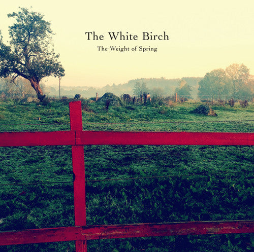 The White Birch: Weight of Spring