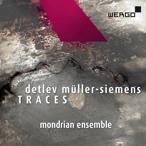 Muller-Siemens, D. / Mondrian Ensemble Basel: Traces