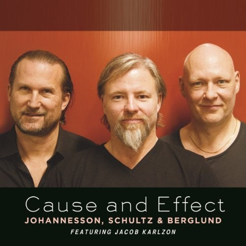 Johannesson, Peter / Schultz, Max / Berglund, Dan: Cause & Effect