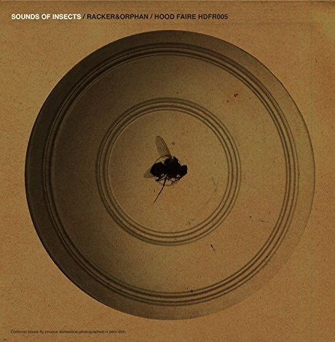 Racker & Orphan: Sounds of Insects