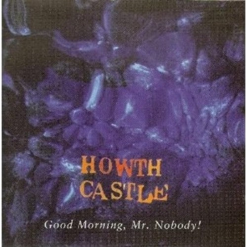 Howth Castle: Good Morning Mr. Nobody