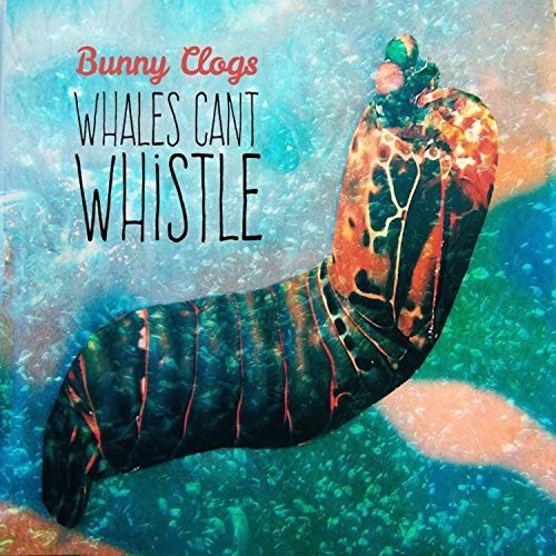 Bunny Clogs: Whales Can't Whistle