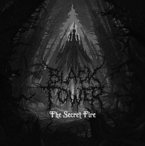 Black Tower: Secret Fire