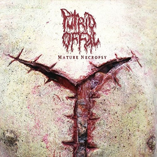 Putrid Offal: Mature Necropsy