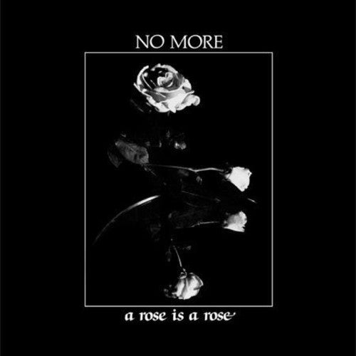 No More: A Rose Is a Rose