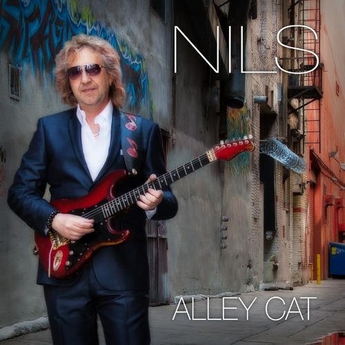 Nils: Alley Cat