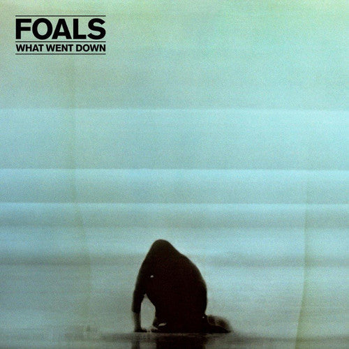 Foals: What Went Down