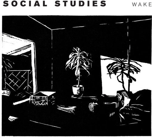 Social Studies: Wake