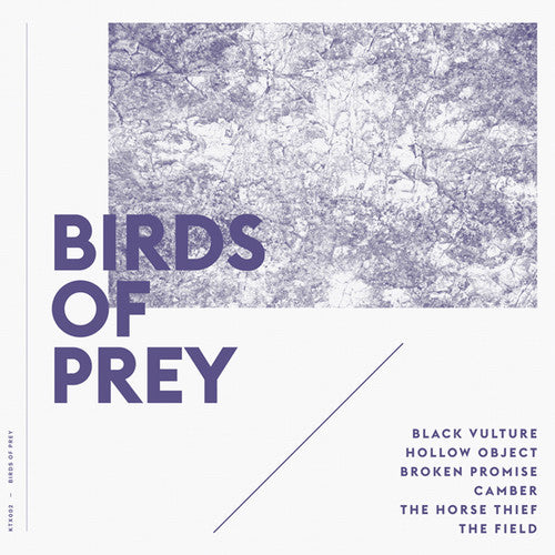 Birds of Prey: Birds of Prey
