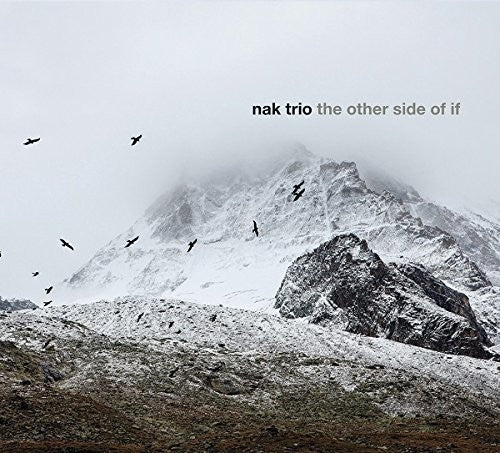 Nak Trio: The Other Side Of If