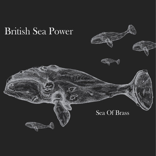 British Sea Power: Sea of Brass