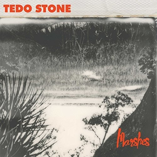 Tedo Stone: Marshes