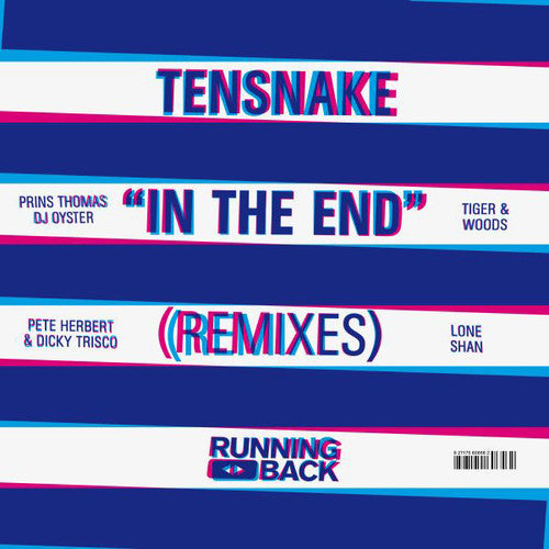 Tensnake: In the End (Remixes)