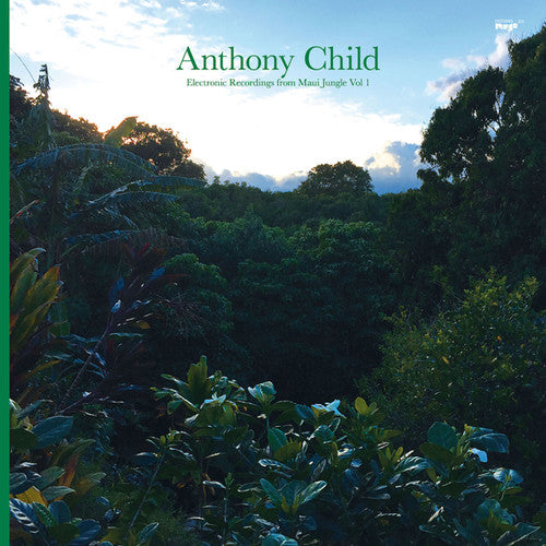 Child, Anthony: Electronic Recordings from Maui Jungle Vol. 1