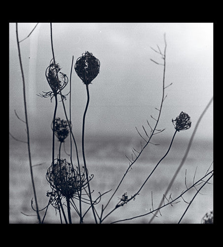 Recondite: Placid