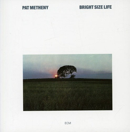 Metheny, Pat: Bright Size Life