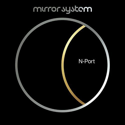 Mirror System: N-Port