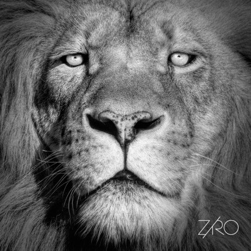 Ziro: Lionheart