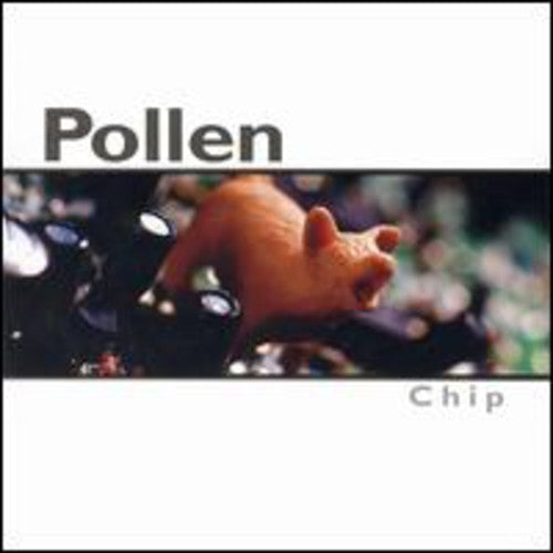 Pollen: Chip