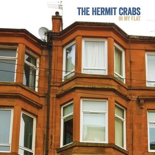 Hermit Crabs: In My Flat