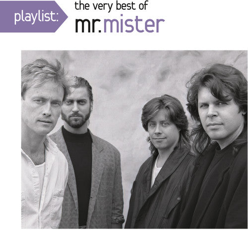 Mr Mister: Playlist: The Very Best of Mr. Mister