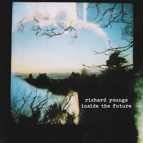 Youngs, Richard: Inside the Future