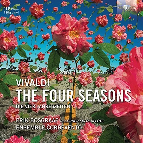 Vivaldi / Bosgraaf / Cordevento: Vivaldi: 4 Seasons