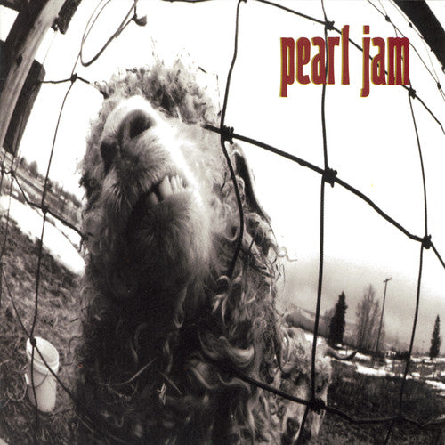 Pearl Jam: Vs. (Original)