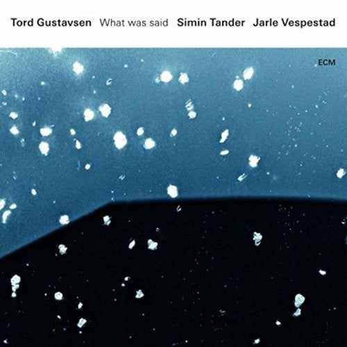 Gustavsen, Tord: What Was Said