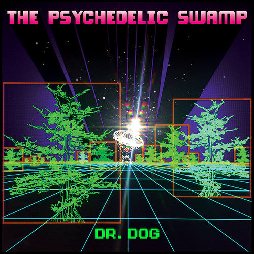 Dr Dog: The Psychedelic Swamp