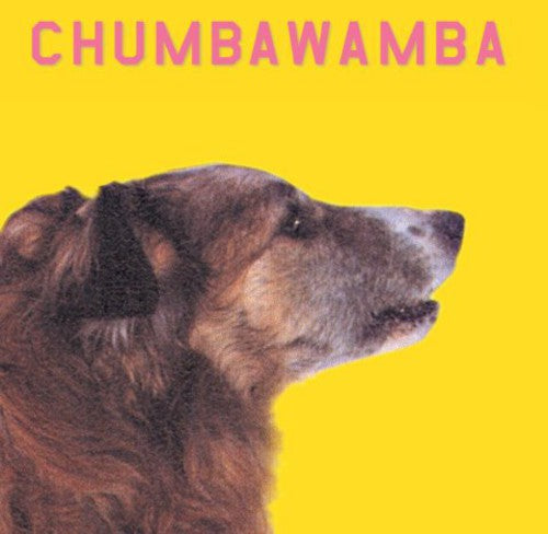 Chumbawamba: What You See Is What You Get