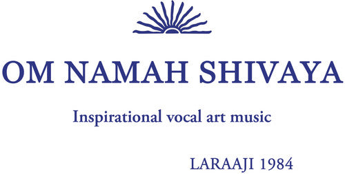 Laraaji: Om Namah Shivaya