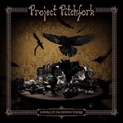Project Pitchfork: Look Up I'm Down There