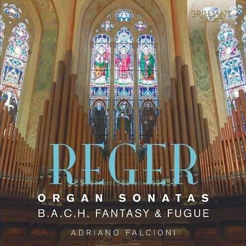 Reger / Falcioni: Reger: Organ Sonatas