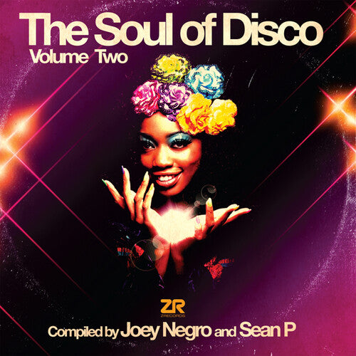 Negro, Joey / Sean P.: Soul Of Disco 2