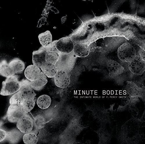 Tindersticks: Minute Bodies: Intimate World Of F. Percy Smith
