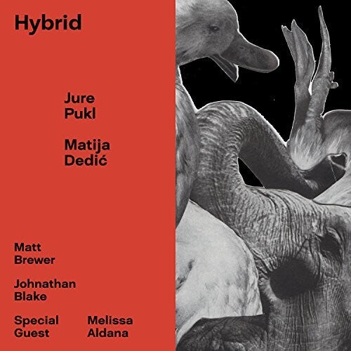 Pukl, Jure / Dedic, Matija: Hybrid