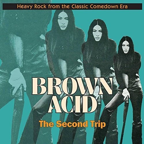 Brown Acid: Second Trip / Various: Brown Acid: Second Trip (Various Artists)