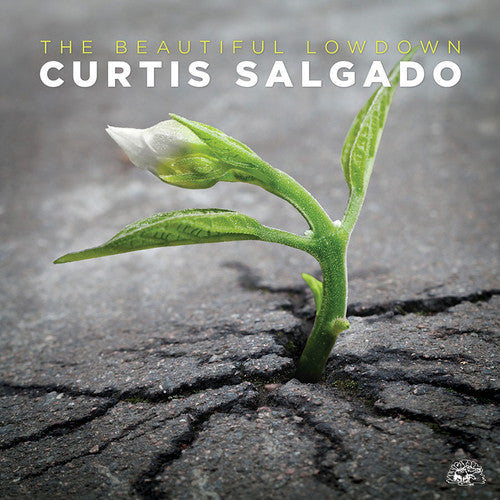 Salgado, Curtis: The Beautiful Lowdown