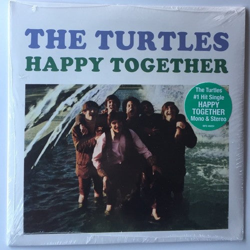Turtles: Happy Together