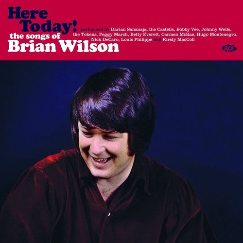 Here Today! Songs of Brian Wilson / Various: Here Today! Songs Of Brian Wilson / Various