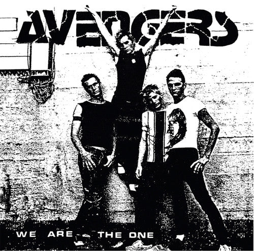 Avengers: We Are The One