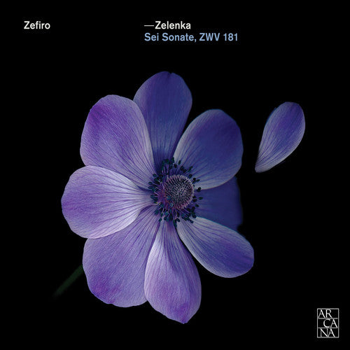 Zelenka / Zefiro: Jan Dismas Zelenka: Sei Sonate Zwv 181
